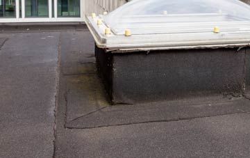 disadvantages of Paddolgreen flat roofs