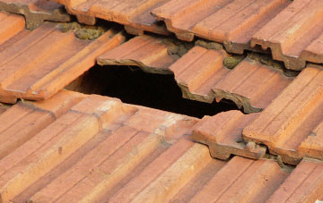 roof repair Paddolgreen, Shropshire